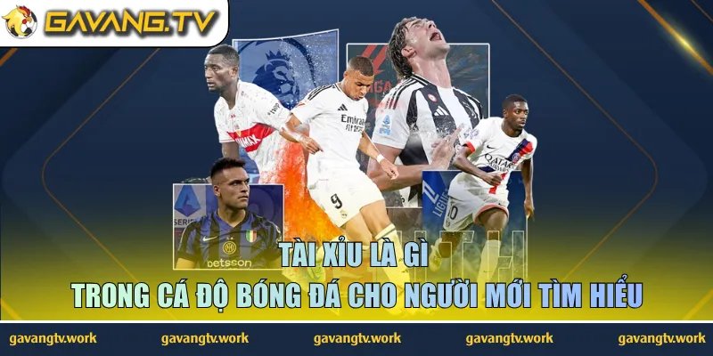 Tài Xỉu Là Gì Trong Cá Độ Bóng Đá Cho Người Mới Tìm Hiểu